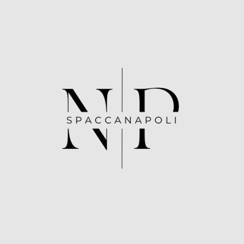 Np Spaccanapoli Exterior photo